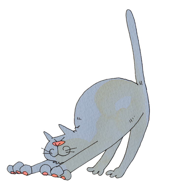 背伸びする灰色猫