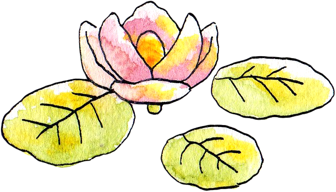 蓮の花のイラスト かわいいフリー素材が無料のイラストレイン