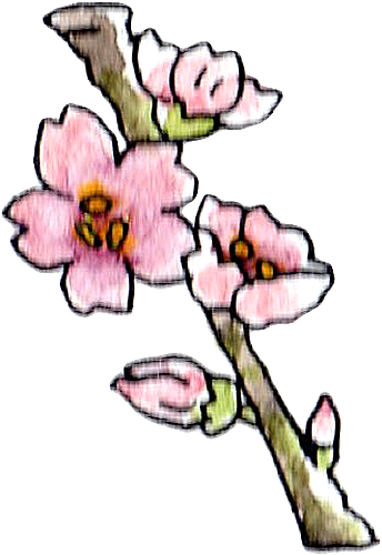 桃の花のイラスト かわいいフリー素材が無料のイラストレイン