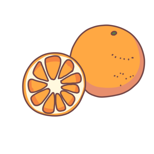 オレンジのイラスト かわいいフリー素材が無料のイラストレイン