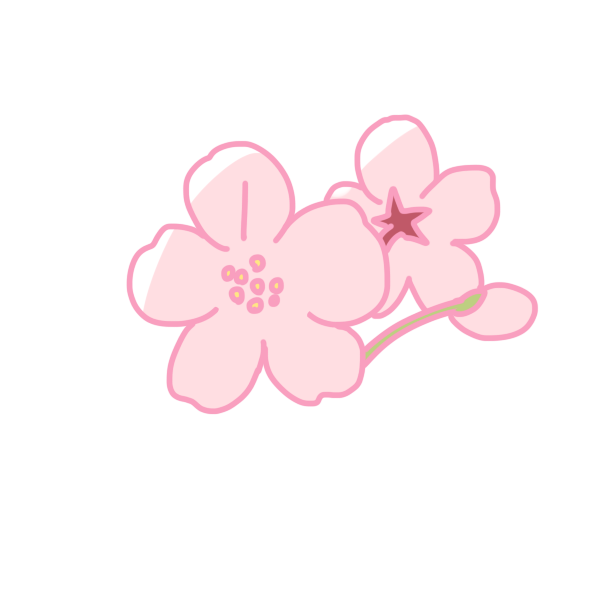 桜の花のイラスト かわいいフリー素材が無料のイラストレイン