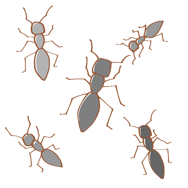 5匹の蟻のイラスト かわいいフリー素材が無料のイラストレイン