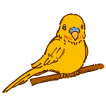 小鳥（黄色）