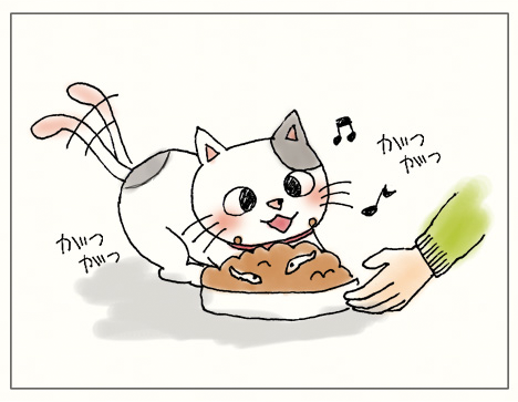 ご飯を食べるいくら 猫 のイラスト かわいいフリー素材が無料のイラストレイン