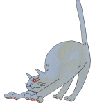 背伸びする灰色猫