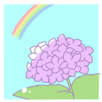 紫陽花と虹