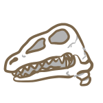 恐竜の頭蓋骨（1）